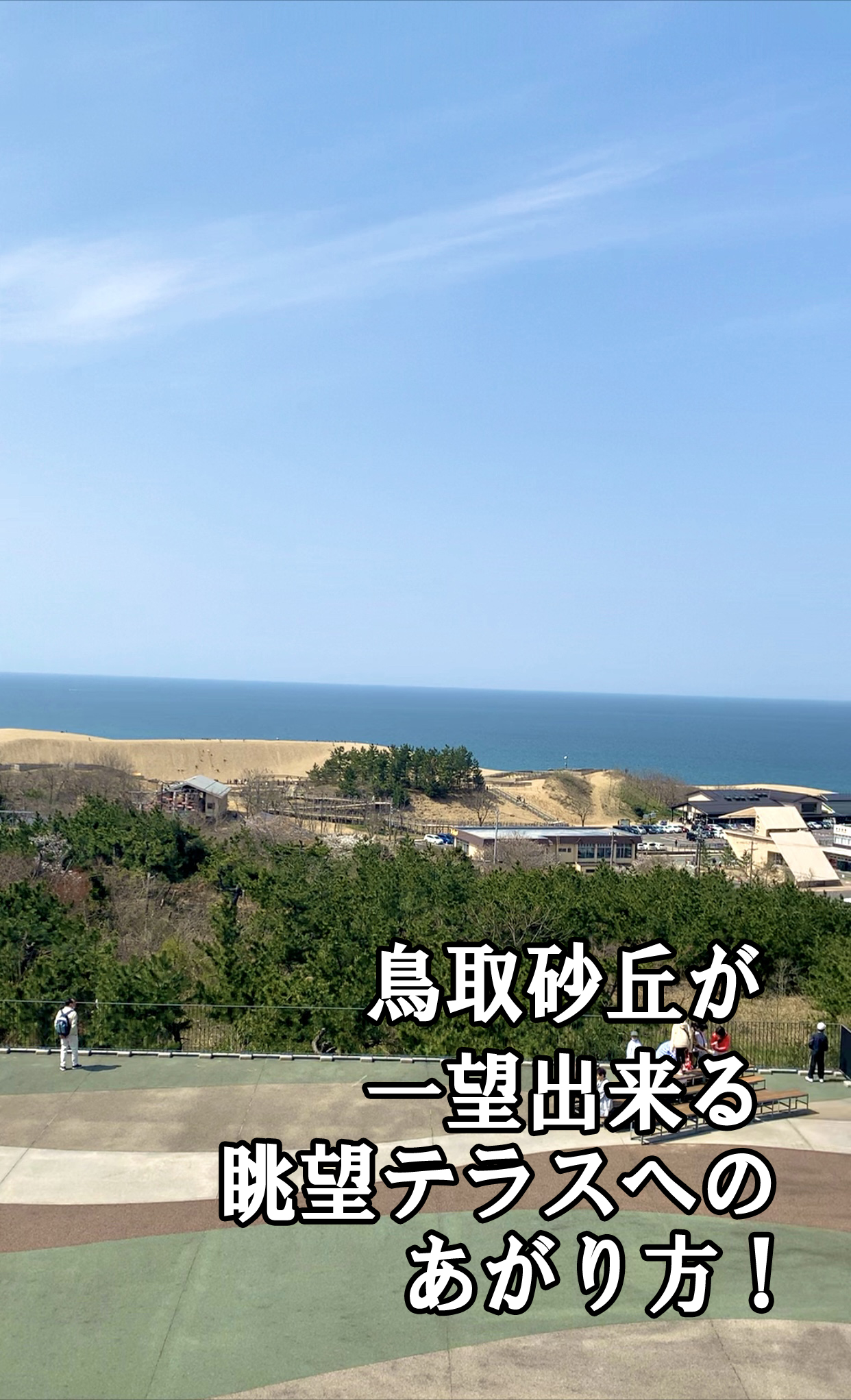 砂丘 センター 見晴らし の 丘
