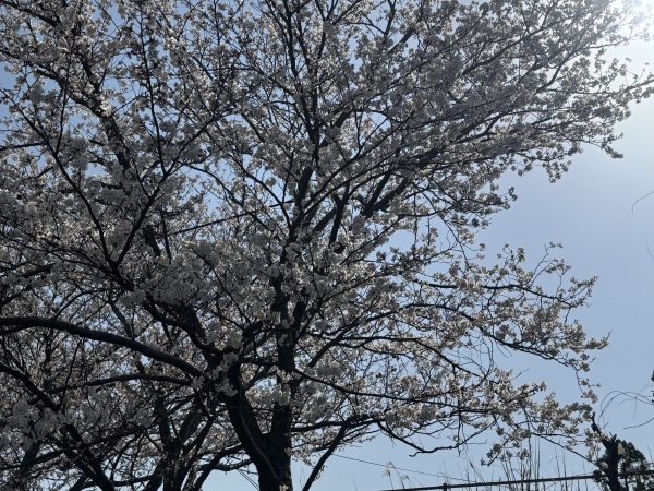 0406