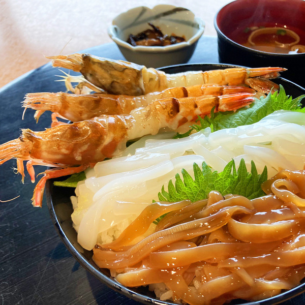アイコン：元祖「鳥取三色しろいか丼」幻の海老「もさえび」Ver.20230401